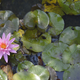 f5.6, exposure 1/125, focal length 55mm